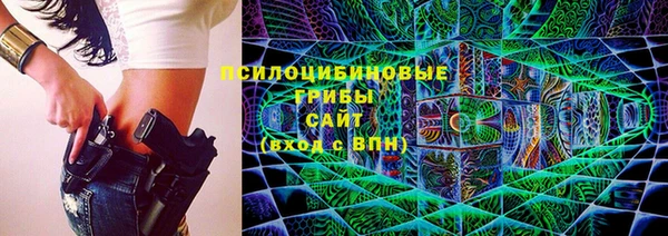 марки lsd Белокуриха